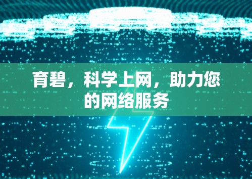 育碧，科学上网，助力您的网络服务