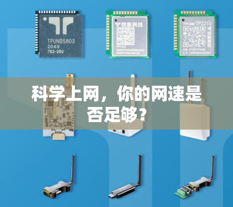 科学上网，你的网速是否足够？