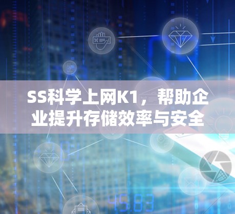 SS科学上网K1，帮助企业提升存储效率与安全性的理想选择
