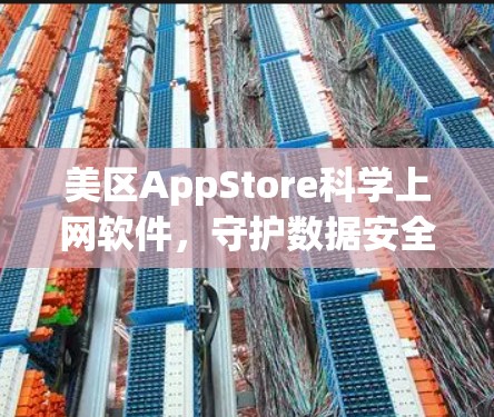 美区AppStore科学上网软件，守护数据安全的智慧之选
