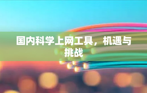 国内科学上网工具，机遇与挑战