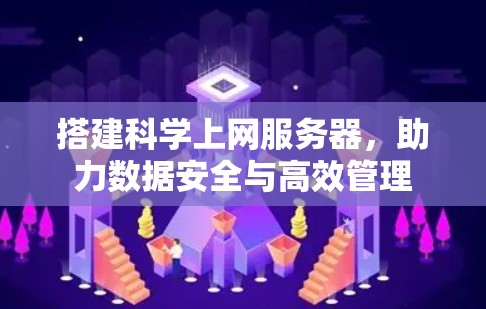 搭建科学上网服务器，助力数据安全与高效管理