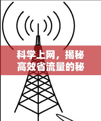 科学上网，揭秘高效省流量的秘密
