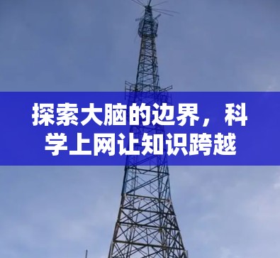 探索大脑的边界，科学上网让知识跨越地域与时空