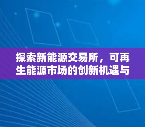 探索新能源交易所，可再生能源市场的创新机遇与挑战
