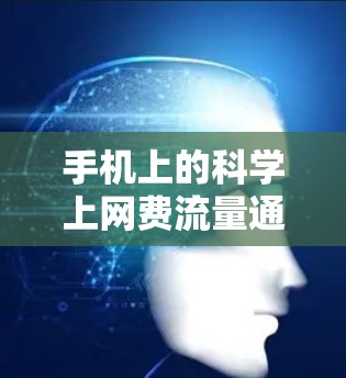 手机上的科学上网费流量通常指的是根据用户的具体使用情况计算流量费用的一种智能或精确的方案。以下是对这一概念的详细解释和计算方法