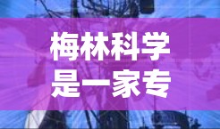 梅林科学是一家专注于提供网络技术解决方案和服务器服务的公司。如果你需要了解梅林科学的网课服务器或服务器服务，可以参考以下信息