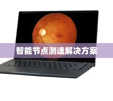 智能节点测速解决方案