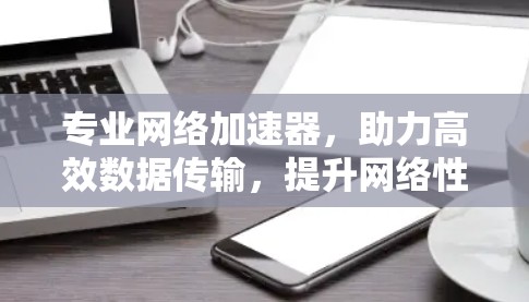 专业网络加速器，助力高效数据传输，提升网络性能