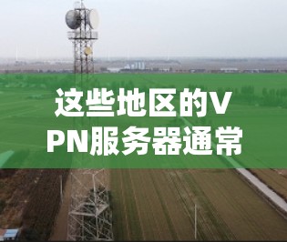 这些地区的VPN服务器通常提供多种服务，包括数据传输、流媒体、视频会议、文件传输和电子商务等。它们通常使用基于互联网的协议（如IPSec、VPN、WEP、WPA、TPPTP等）来保障数据的安全性