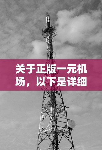 关于正版一元机场，以下是详细的说明和信息