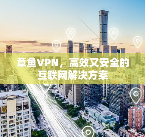 章鱼VPN，高效又安全的互联网解决方案