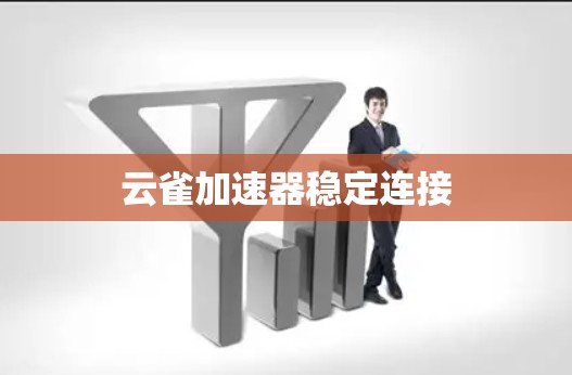 云雀加速器稳定连接