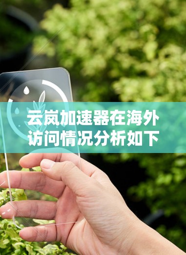 云岚加速器在海外访问情况分析如下
