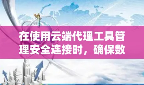 在使用云端代理工具管理安全连接时，确保数据的安全性和系统的安全性是关键。以下是逐步的解决方案