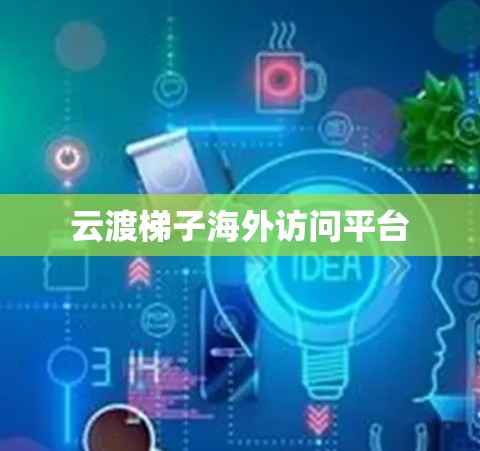 云渡梯子海外访问平台