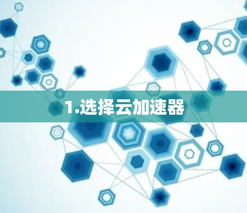1.选择云加速器