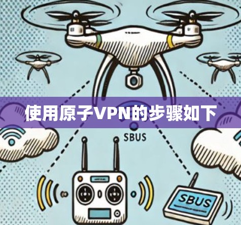 使用原子VPN的步骤如下