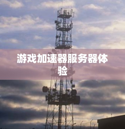 游戏加速器服务器体验