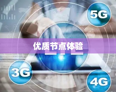 优质节点体验