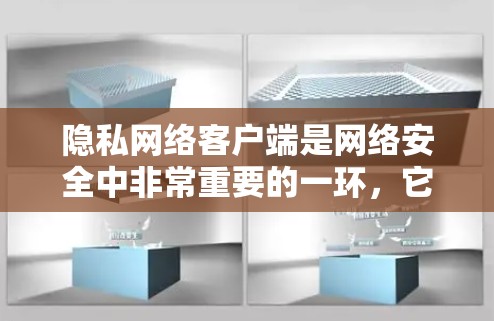 隐私网络客户端是网络安全中非常重要的一环，它负责处理网络上的隐私问题，确保用户数据的安全。以下是关于隐私网络客户端的详细分析