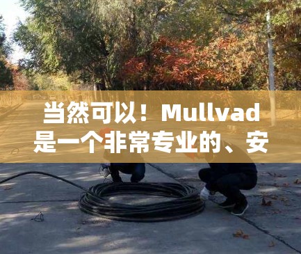 当然可以！Mullvad是一个非常专业的、安全且匿名的VPN服务，适合隐私保护需求较高的用户。以下是一个详细的Mullvad匿名连接体验指南