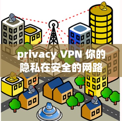 privacy VPN 你的隐私在安全的网路上