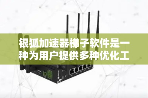 银狐加速器梯子软件是一种为用户提供多种优化工具的软件包，通常包含多个独立的工具，用户需根据需求安装特定的梯子。以下是常见的银狐加速器梯子软件及其功能