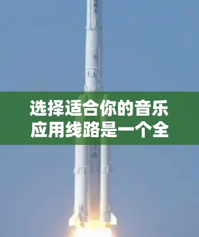 选择适合你的音乐应用线路是一个全面的过程，需要考虑多种因素。以下是一个结构化的指南，帮助你做出明智的选择