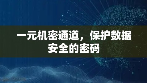 一元机密通道，保护数据安全的密码