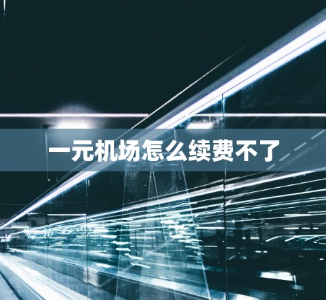 一元机场怎么续费不了