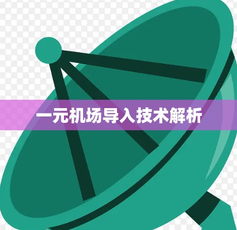 一元机场导入技术解析