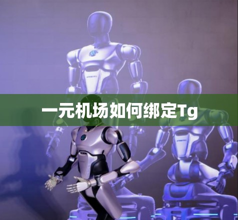 一元机场如何绑定Tg