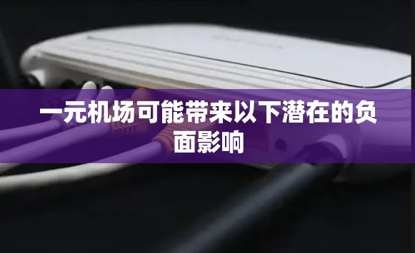 一元机场可能带来以下潜在的负面影响