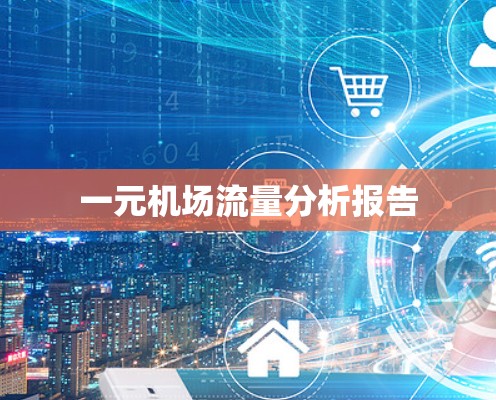 一元机场流量分析报告