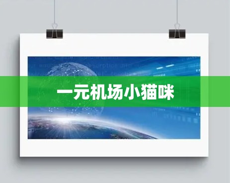 一元机场小猫咪