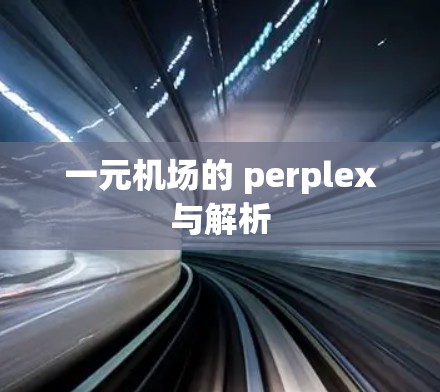 一元机场的 perplex与解析