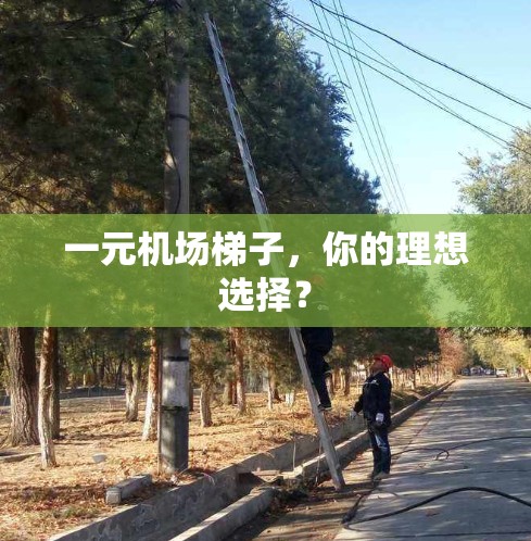 一元机场梯子，你的理想选择？