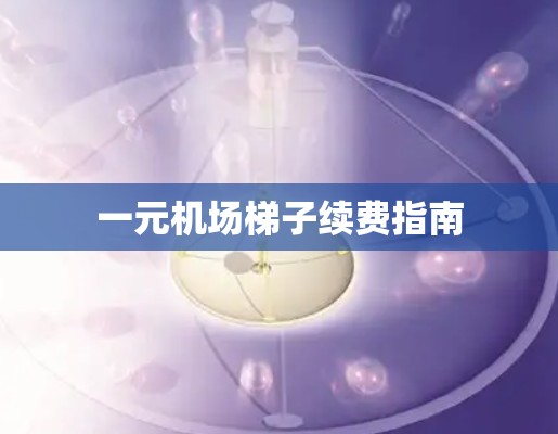 一元机场梯子续费指南