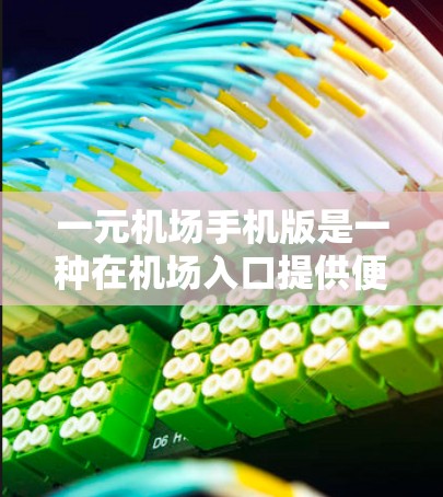 一元机场手机版是一种在机场入口提供便捷服务的地方，旨在为旅客提供便利和快捷的体验。以下是对这一概念的详细分析