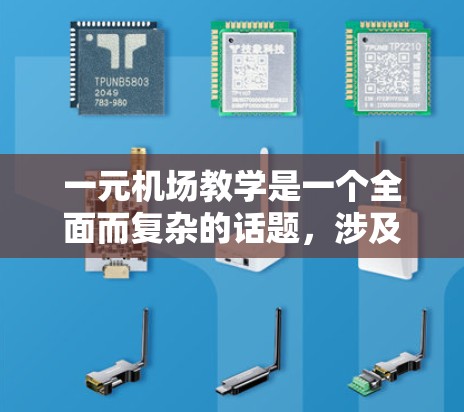 一元机场教学是一个全面而复杂的话题，涉及多个方面，以下是对该主题的分步总结