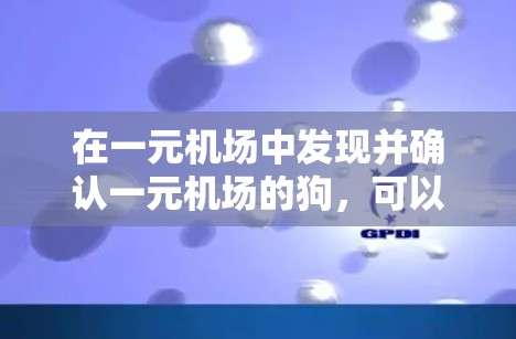在一元机场中发现并确认一元机场的狗，可以通过以下步骤进行