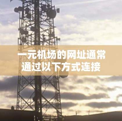 一元机场的网址通常通过以下方式连接