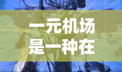 一元机场是一种在机场内为所有乘客提供简便路径的设施，通常通过一个主要入口让乘客进入机场，同时处理其他类型的乘客。以下是对一元机场的详细分析