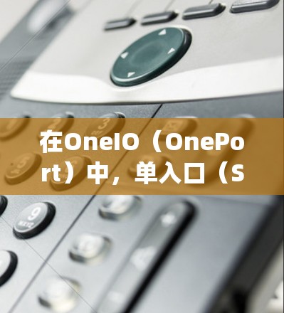 在OneIO（OnePort）中，单入口（SinglePort）是机场入口的核心功能模块，主要用于快速访问机场入口。以下是一个关于一元机场ios版的详细说明