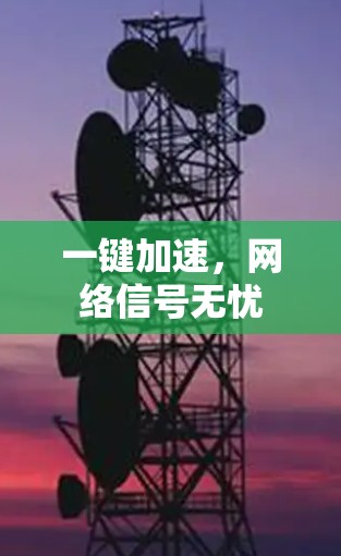 一键加速，网络信号无忧