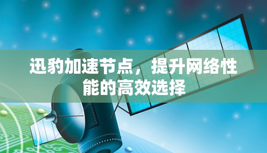迅豹加速节点，提升网络性能的高效选择