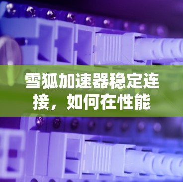 雪狐加速器稳定连接，如何在性能中获得显著提升
