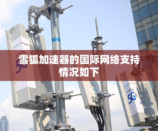 雪狐加速器的国际网络支持情况如下