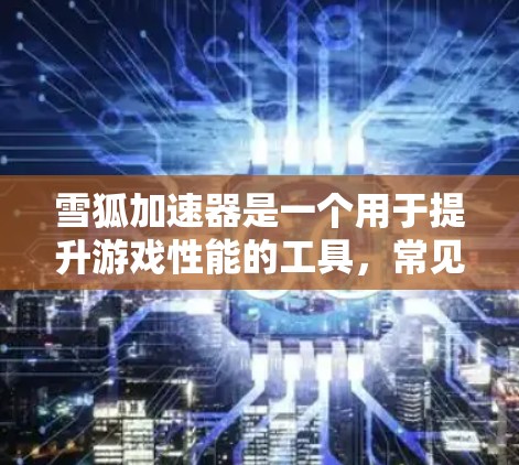 雪狐加速器是一个用于提升游戏性能的工具，常见的加速器包括以下几种